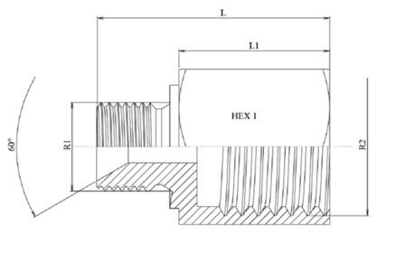 Prolongateur réducteur BSP 60° inox 316L - Schéma coté