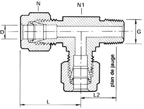Schéma té mâle renversé