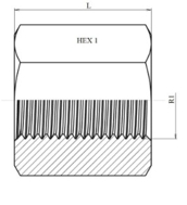 Manchon femelle-femelle BSP inox 316L