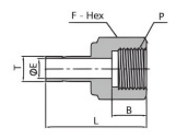 Adaptateur Lisse Femelle